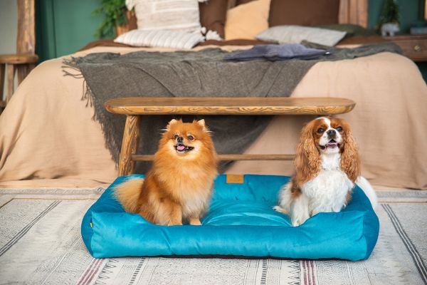 Лежак для котів та собак блакитний