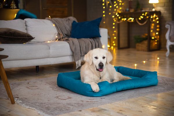 Лежак для котів та собак блакитний