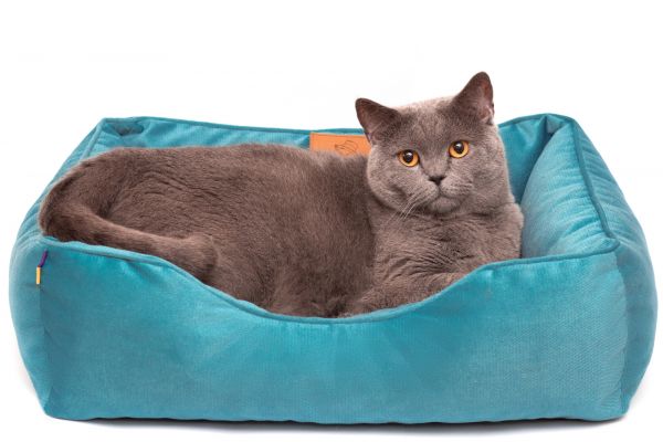 Лежак для котів та собак блакитний