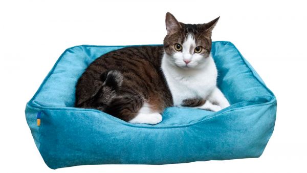 Лежак для котів та собак блакитний